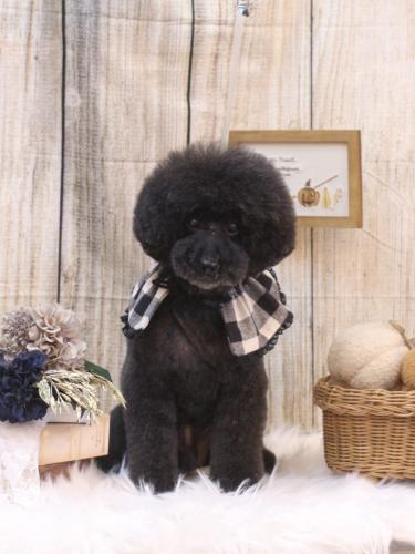 20241019ラブくん